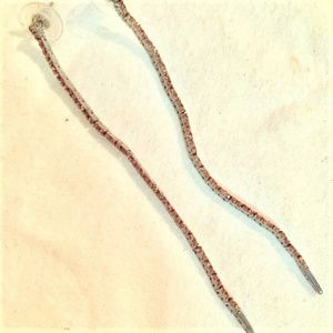 Long strand orange gemstone earrings